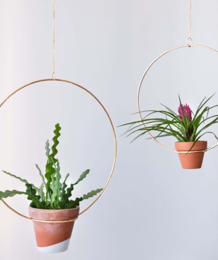 Plant Hanger Bitki Askısı Saksı