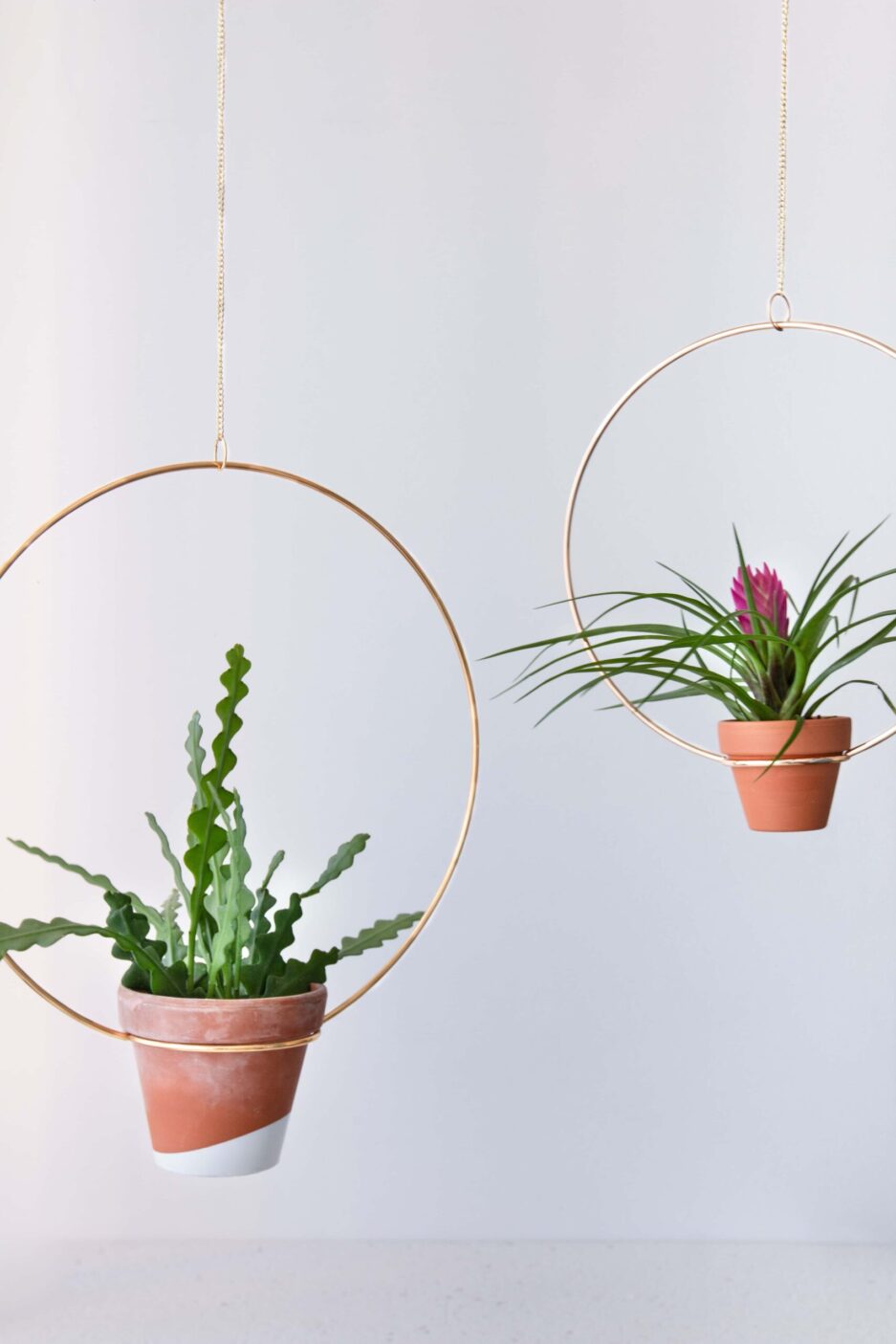 Plant Hanger Bitki Askısı Saksı