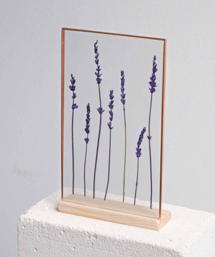 copper lavanta lavander frame