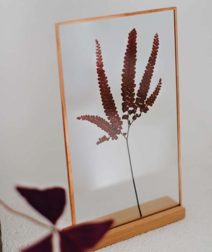 fern roco copper frame kırmızı