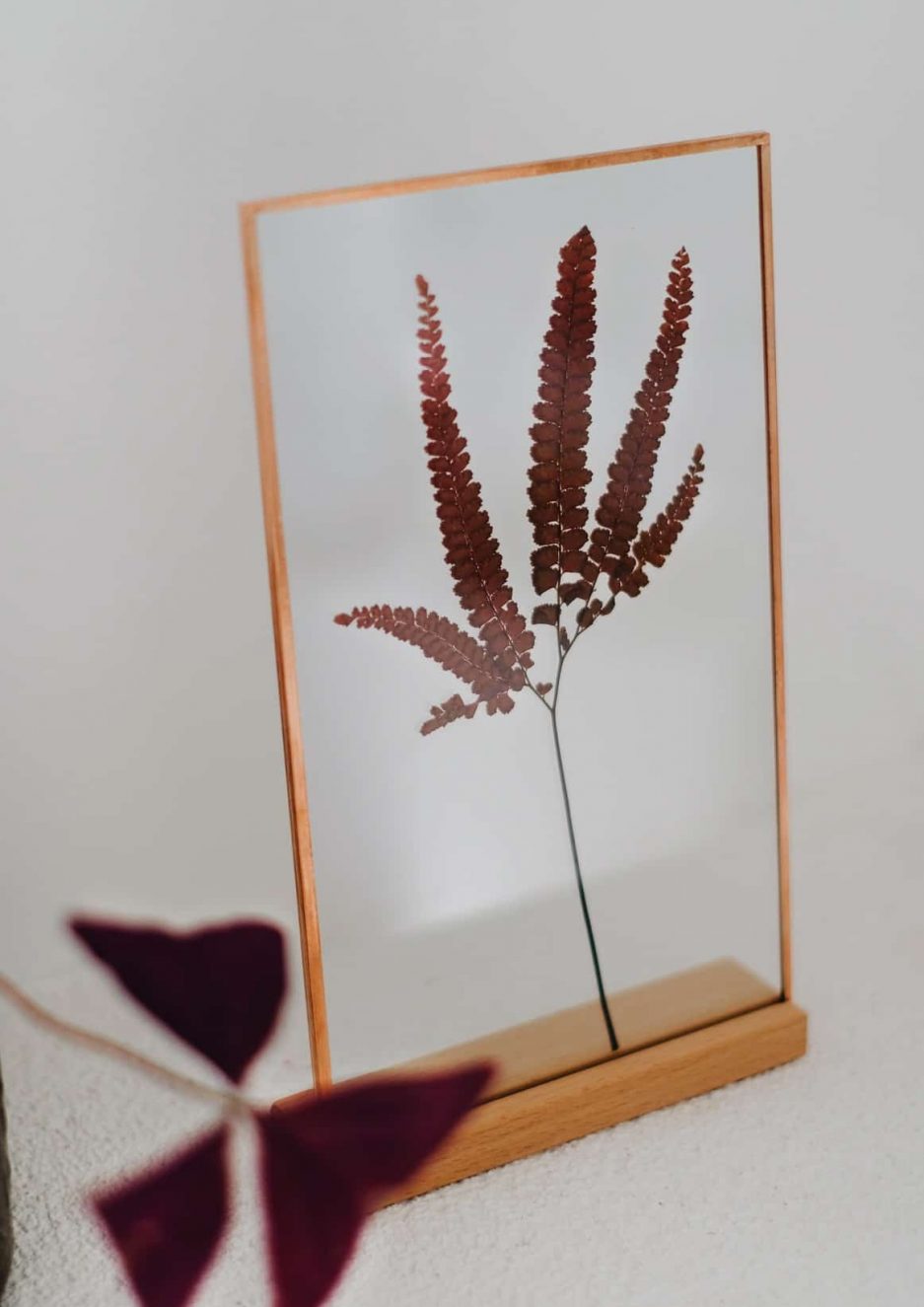 fern roco copper frame kırmızı