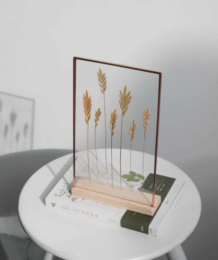 spiga lovegrass copper plant frame