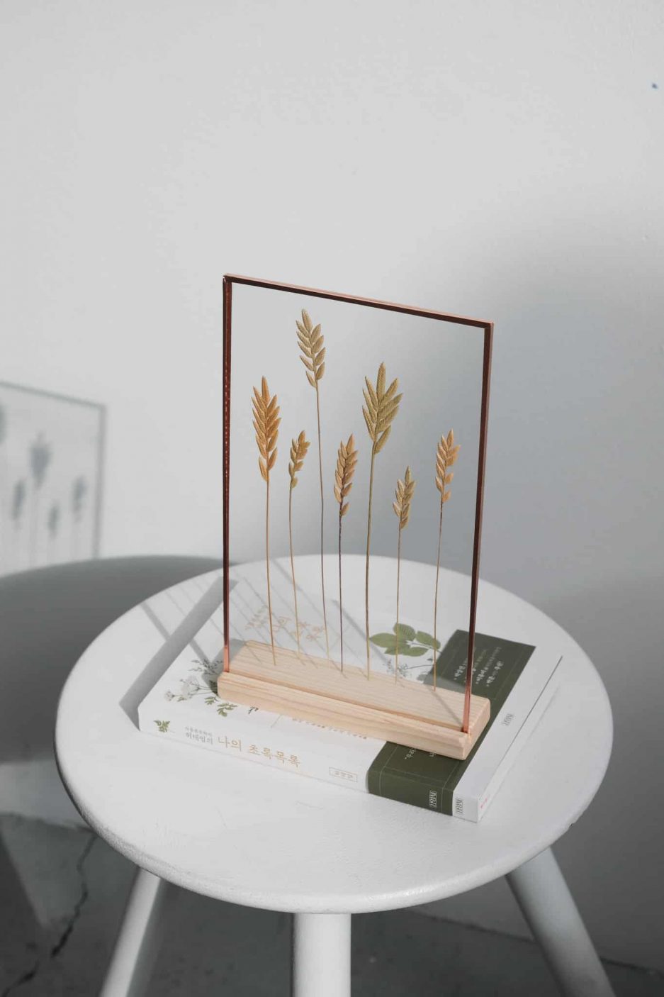spiga lovegrass copper plant frame