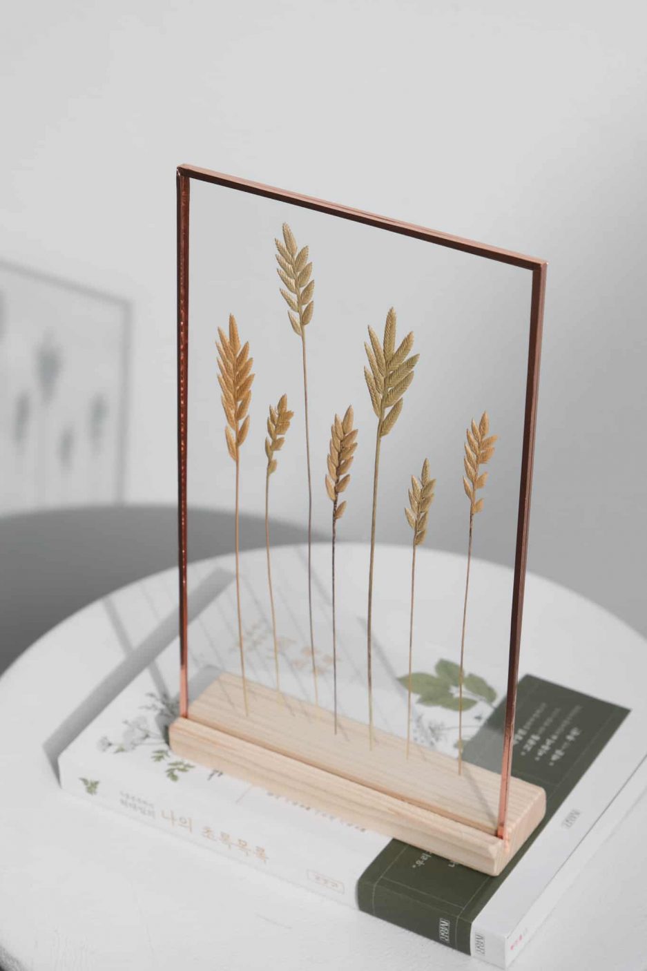 spiga lovegrass copper plant frame