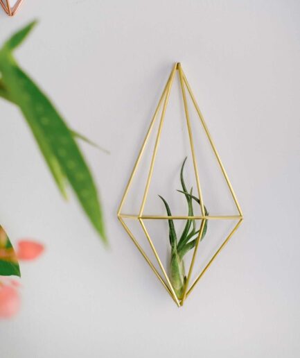 himmeli wall decor & airplant hava bitkisi