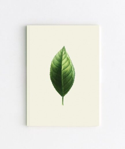 citrus limon çizgisiz dikişli defter