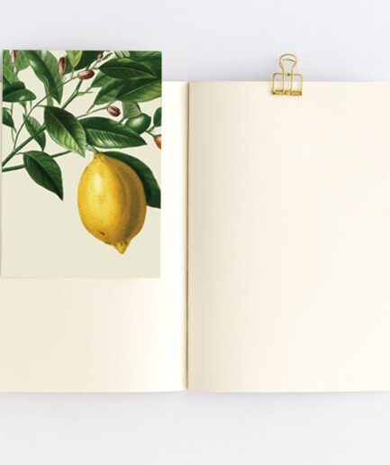 citrus limon çizgisiz dikişli defter