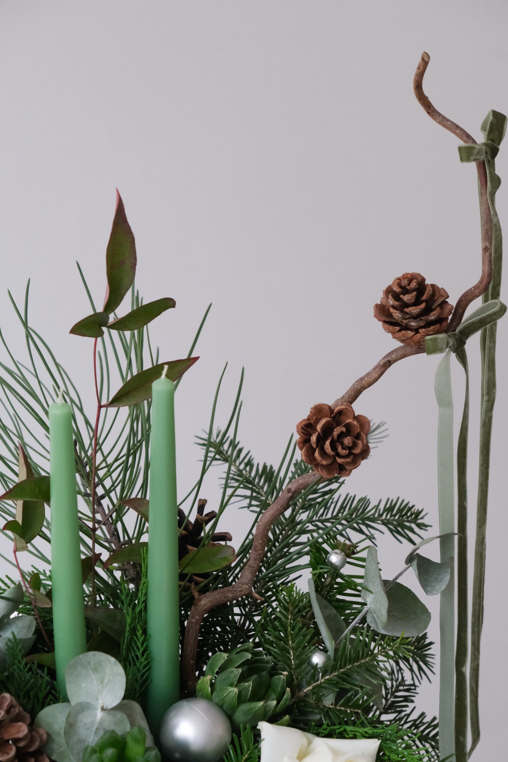 winter botanical detail winter botanical detail